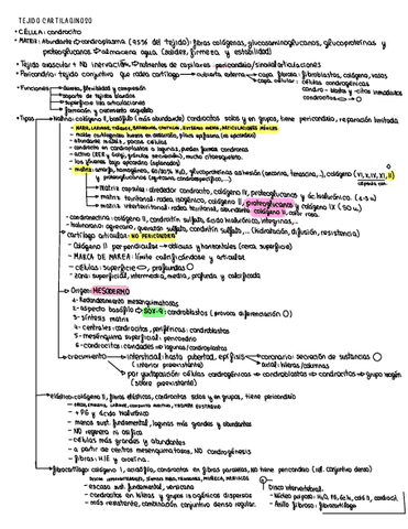 Resumenes-4-parcial-biologia-celular1de-medicina-Ucm.pdf