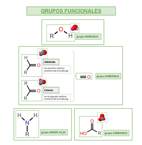 GRUPOS-FUNCIONALES.pdf