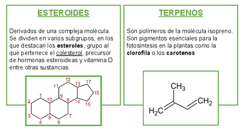 LIPIDOS-INSAPONIFICABLES.pdf