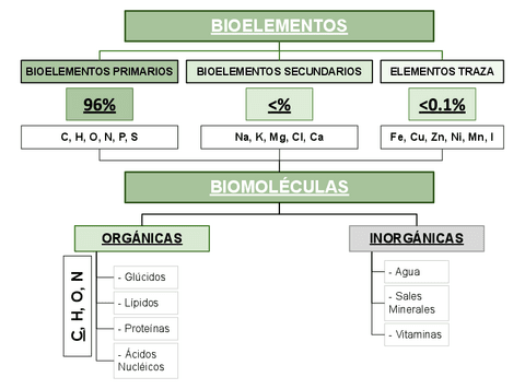 TIPOS-DE-BIOELEMENTOS.pdf