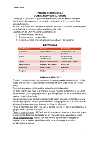 Nervioso-4.pdf