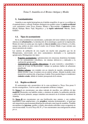 Tema-5.-Anatolia-en-el-Bronce-Antiguo-y-Medio.pdf