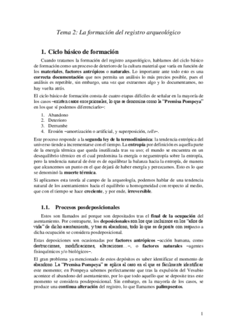 Tema-2.-La-formacion-del-registro-arqueologico.pdf