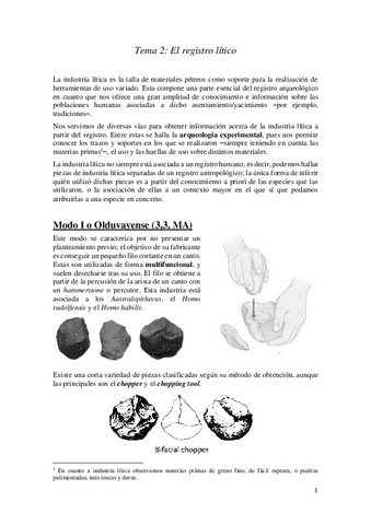 2.-El-Registro-Litico.pdf