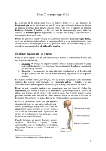 7.-Antropologia-fisica.pdf