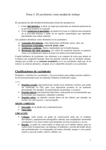 Tema-1.-El-yacimiento-como-unidad-de-trabajo.pdf