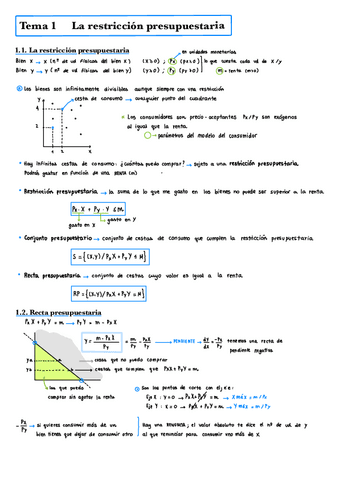 Apuntes-Microeconomia-II-Teoria.pdf