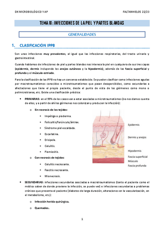 18.-Infecciones-de-la-piel-y-partes-blandas.pdf