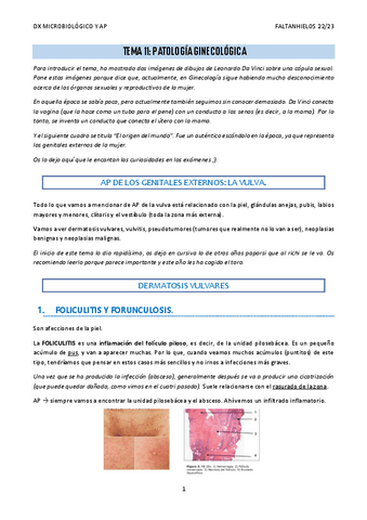 11.-Patologia-ginecologica.pdf