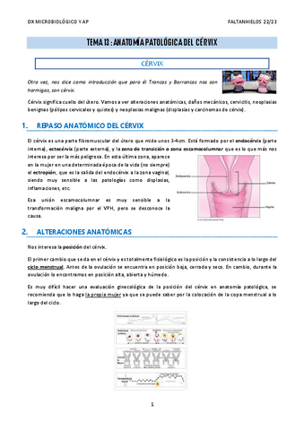 13.-Anatomia-patologica-del-cervix.pdf