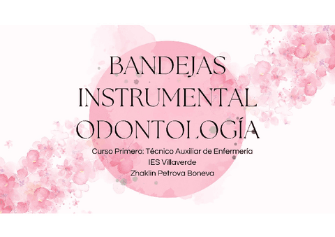 BANDEJAS-ODONTOLOGIA.pdf