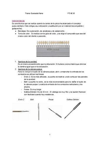 TOE.pdf