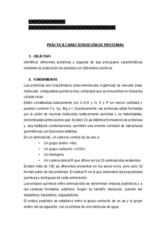 informecaracterizacionproteinas.pdf