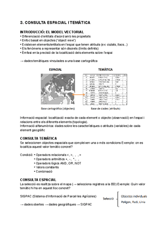 3.-CONSULTA-ESPACIAL-I-TEMATICA-1-RESUM.pdf