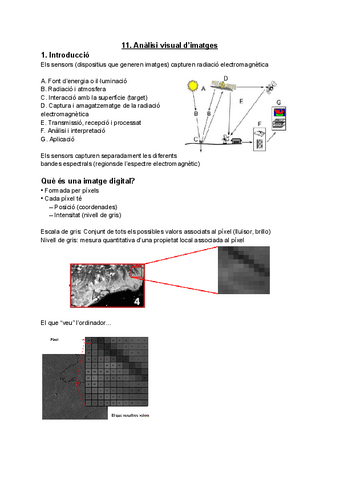 11.-Analisi-visual-dimatges-RESUM.pdf