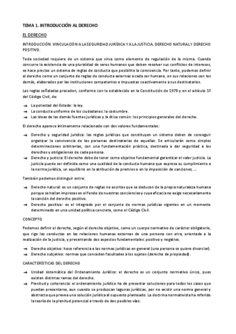 TODOS-LOS-TEMAS-RESUMEN-URBANISTICA.pdf