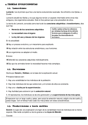2a-Mitad-del-Tema-8.pdf