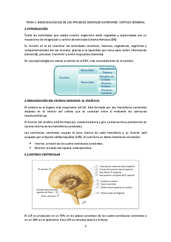 TEMA-2-Neuro.pdf