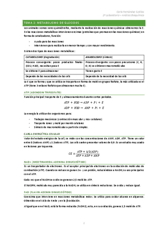 Apuntes-Tema-2-BQ-Glucidos.pdf