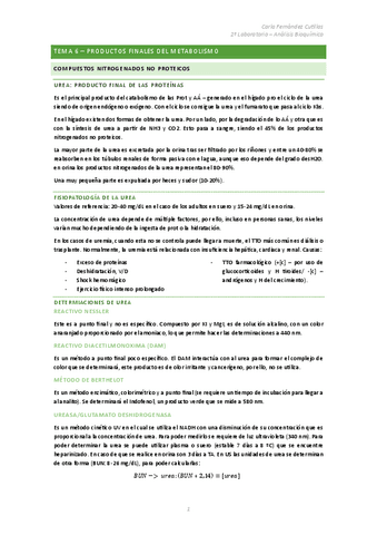 Tema-6-Productos-Finales.pdf