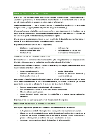 Tema-9-Equilibrio-Hidroelectrico.pdf