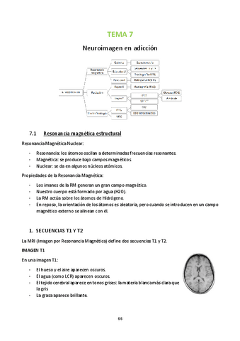 Tema-7.-Neuroimagen-en-adiccion.pdf