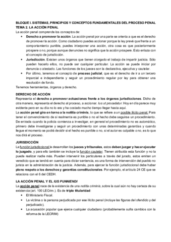TEMA-1-11-DERECHO-PROCESAL-PENAL.pdf