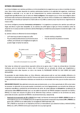 APUNTES-FC-RITMOS.pdf