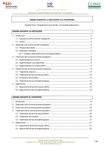 Anemia-durante-la-gestacion-y-el-puerperio.pdf