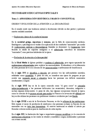 NECESIDADES-EDUCATIVAS-ESPECIALES.pdf