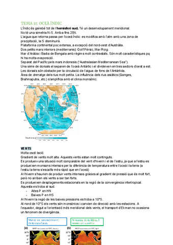 TEMA-11-OCEA-INDIC.pdf
