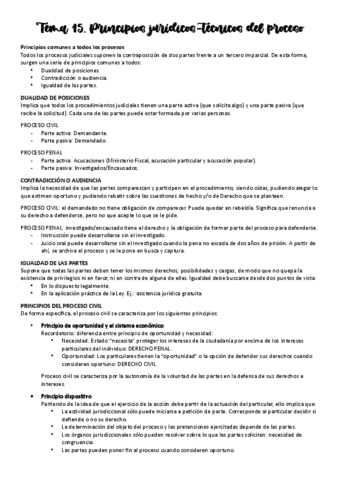 Tema-15-Derecho-Procesal-I.pdf