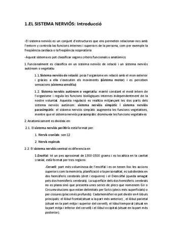 Anatomia-neuro-Neus-1.pdf