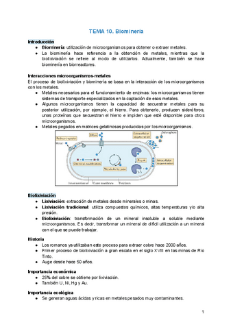 TEMA-10.-Biomineria.pdf
