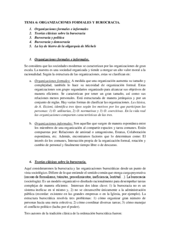 TEMA-6..pdf