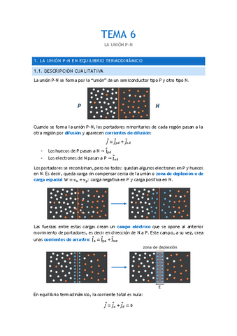 Tema-6.-La-union-P-N.pdf