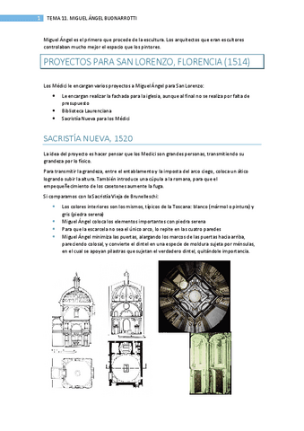 RESUMEN-TEMA-11.-MIGUEL-ANGEL.pdf