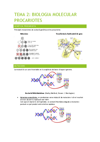 TEMA-2-BIOLOGIA-MOLECULAR-PROCARIOTES-MICROBIO.pdf