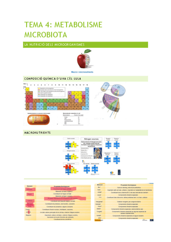 TEMA-4-METABOLISME-MICROBIO.pdf