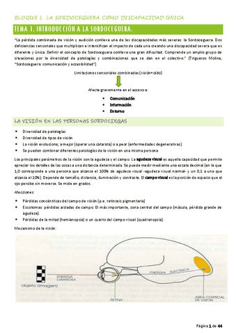 GuiaInterpretacionPrimeraParte.pdf
