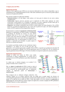 5. Replicación del DNA.pdf