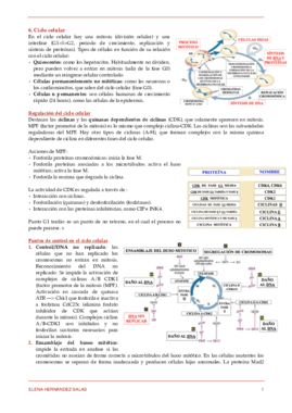 6. Ciclo celular.pdf