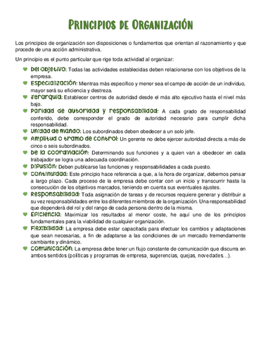 Principios-de-Organizacion.pdf