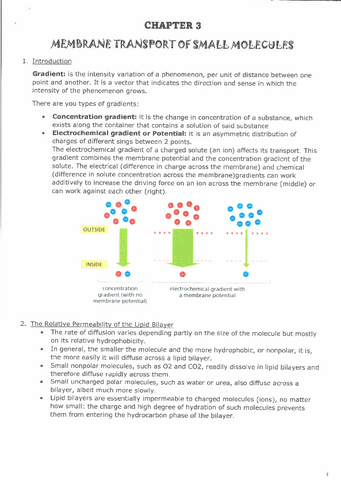 CHAPTER-3-MEMBRANE-TRANSPORT-OF-SMALL-MOLECULES.pdf