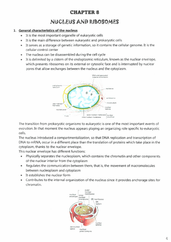 CHAPTER-8-NUCLEUS-AND-RIBOSOMES.pdf