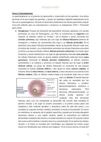 Biologia-tisular-completo.pdf