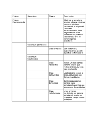 Phylum-Equinodermata.pdf