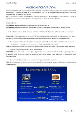 ANTAGONISTA-DEL-SRAA.pdf