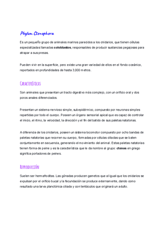 Phylum-Ctenophora.pdf