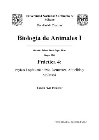 Practica-4.Lofotrocozoa-Nemertea-Annelida-y-Mollusca-1.pdf